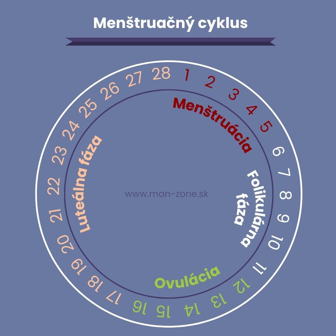 Ako rýchlo otehotnieť: Kompletný sprievodca otehotnením a podporou plodnosti graficke-znazornenie-menstruacneho-cyklu-so-zvyraznenou-menstruaciou-ovulaciou-folikularnou-fazou-lutealnou-fazou
