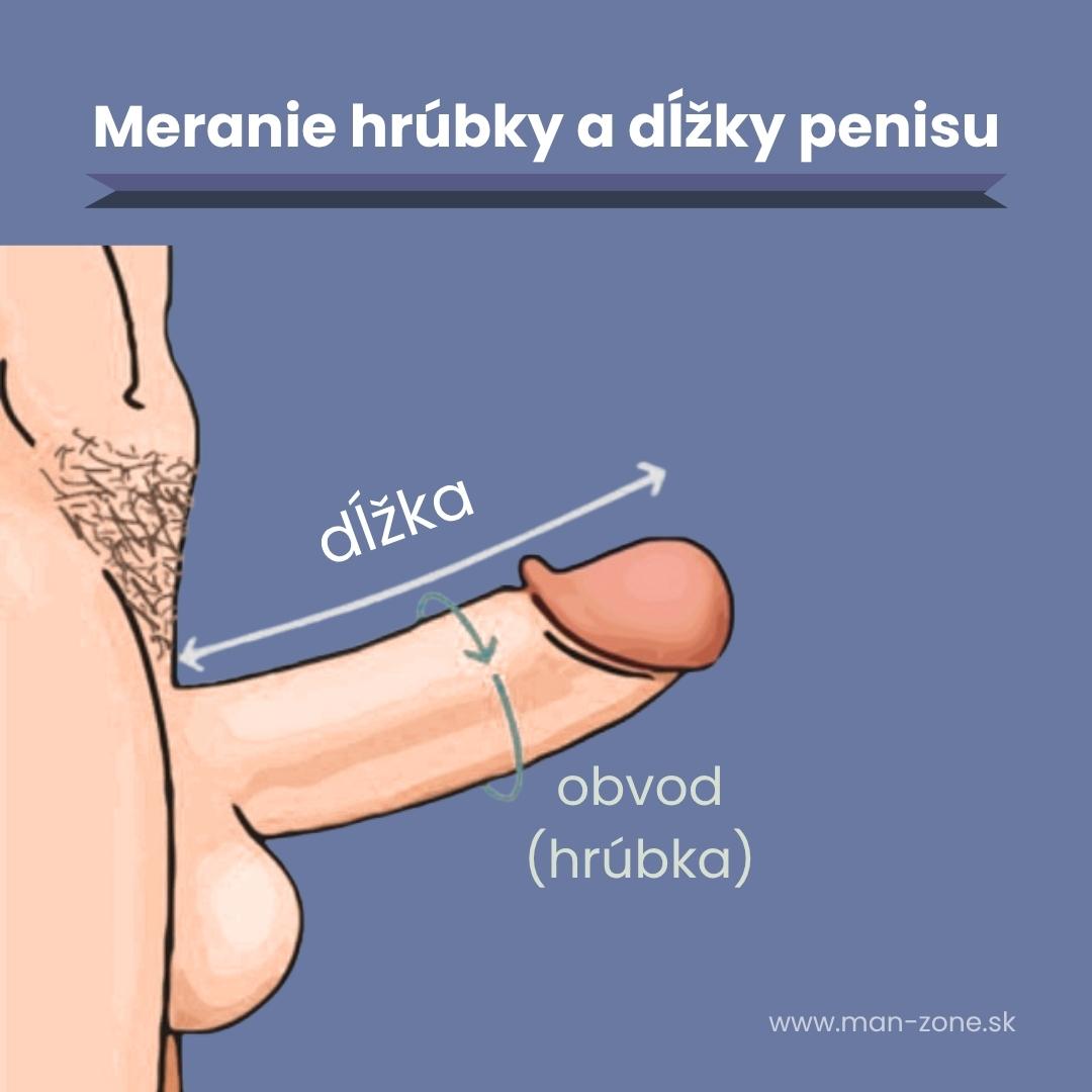 Veľký penis: Mýty, realita a ako správne zmerať penis infografika-meranie-dlzky-a-hrubky-úenisu-ako-zmerat-penis